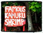 famous kahuku shrimp sign