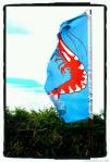 shrimp flag