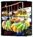 hanging bananas