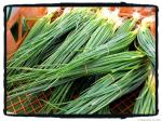 green onions