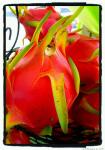 dragon fruit