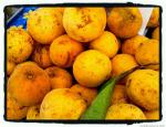 santol philippines thailand santo