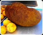 jack fruit