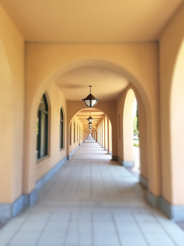 Archways at TSDF